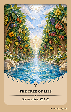 Last Little Flame Bible Card